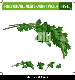 Il coriandolo su sfondo bianco. illustrazione vettoriale Illustrazione Vettoriale