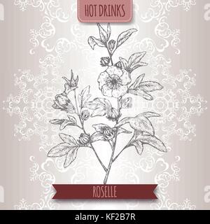 Roselle aka sabdariffa hibiscus con foglie e fiori. utilizzato per fare il tè carcade. Illustrazione Vettoriale