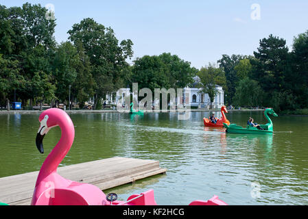 Pedalò sul lago di Chios in estate nel parco centrale di Cluj Foto Stock