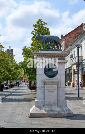 Statua di Romolo e Remo sul Bulevardul Eroilor, nei pressi di Piazza Unirii in Cluj Foto Stock