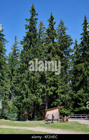 Statiunea Muntele Băișorii (Mountain Resort Băişorii) Foto Stock