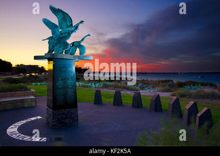 Oche selvatiche, catalpa memorial, Palm Beach Rockingham, Australia occidentale Foto Stock