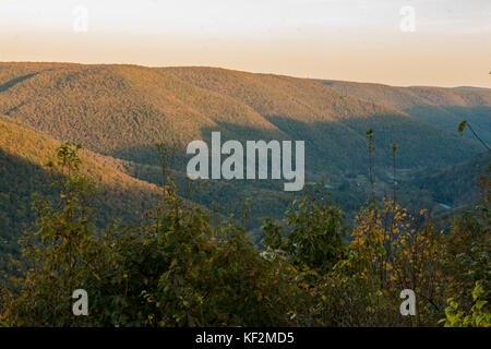 Outlook su Pine Creek Gorge Foto Stock