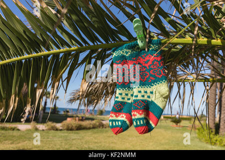 Calza di Natale su Palm tree a esotica spiaggia tropicale. il concetto di vacanza per capodanno carte. calzino di Natale sul palm. monastir, Tunisia Foto Stock