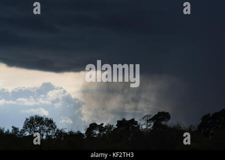 Cloudburst dal grigio scuro nube su stagliano foresta con il cielo luminoso in background Foto Stock