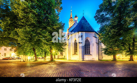 Tallinn, Estonia: la cattedrale di St Mary Foto Stock