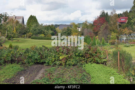 Paesaggio panoramico del solito europeo villaggio d'autunno. Nella foto ci sono dei giardini, recinzioni, prati e tetti. collage da diversi colpi di ottobre Foto Stock