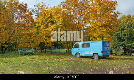 Vecchio difettoso nessun nome di automobili sono dimenticati in una discarica in un bosco d'autunno. paesaggio panoramico da diverse foto all'aperto Foto Stock