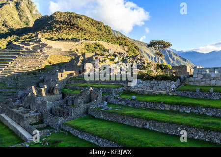 Machu Picchu verdi terrazze e rovine con le montagne sullo sfondo, urubamba provnce, Perù Foto Stock