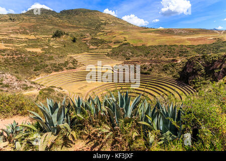 Moray cerchi, di forma rotonda inca storico sito agriciltural sulle colline con agava foglie in primo piano, urubamba provnce, Perù Foto Stock