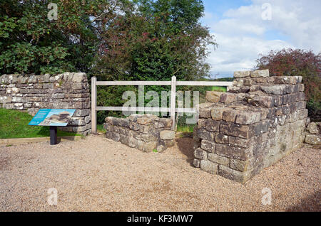 Resti della Pike Hill Signal Tower sul Hadrians Wall Northumberland Inghilterra Regno Unito Gran Bretagna Foto Stock