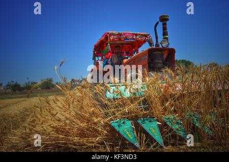 Un harvester è occupato a lavorare nei campi di grano.a causa di avanzamento nella tecnologia ora la gente preferisce la macchina sulla potenza di uomo. Foto Stock