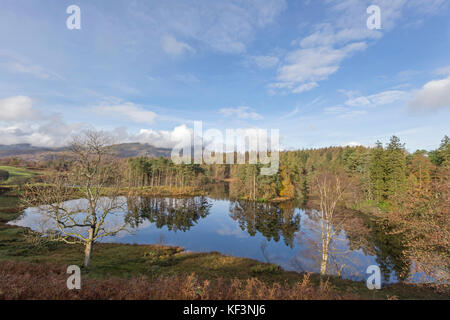 Autunno presso il National Trust Tarn Hows station wagon, Parco Nazionale del Distretto dei Laghi, Cumbria, England, Regno Unito Foto Stock