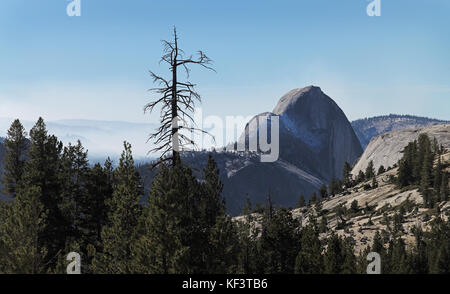 Mezza Cupola vista da dietro a Olmsted Point , Yosemite National Park, California, Stati Uniti d'America. Foto Stock