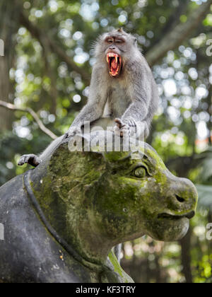 Macaque a coda lunga (Macaca fascicularis) seduto su una statua. Sacro Santuario Della Foresta Delle Scimmie, Ubud, Bali, Indonesia. Foto Stock