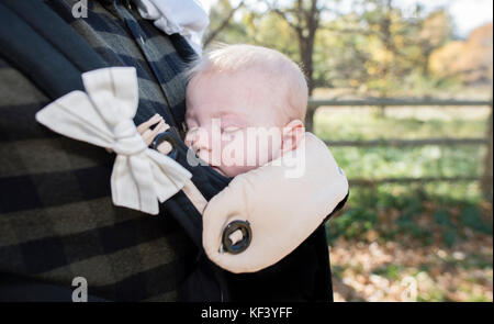 La bionda bambina addormentata in Carrier a papà al torace al di fuori su di un bellissimo giorno di caduta Foto Stock