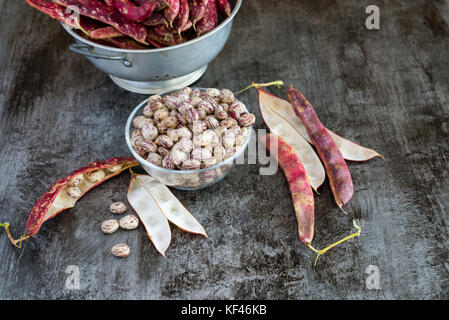 Podding borlotti freschi nella cucina. Foto Stock