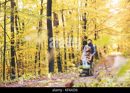 Coppia senior con la sedia a rotelle in autunno foresta. Foto Stock