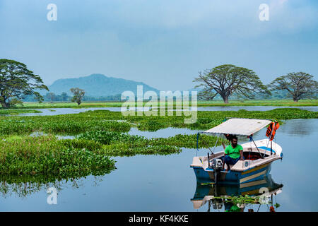 Anuradhapura, sri lanka - Novembre 2013: pescatore sul lago tissa Foto Stock