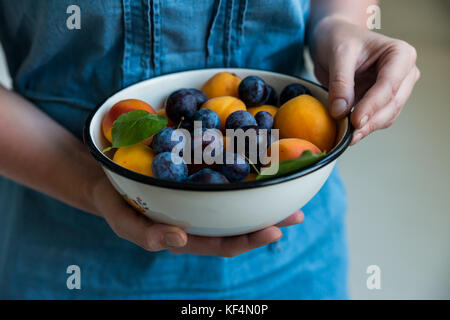 Vicino la donna con le mani la pietra freschi frutti susine e albicocche dieta sana nozione Foto Stock