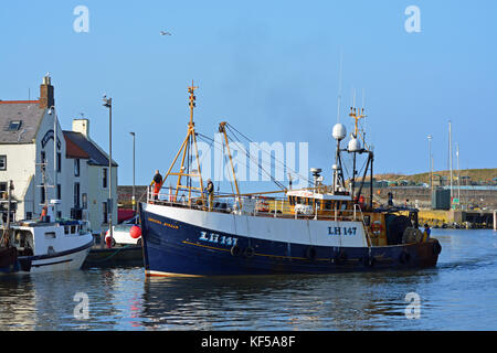 Flusso di cristallo trawler a eyemouth Harbour, SCOZIA Foto Stock