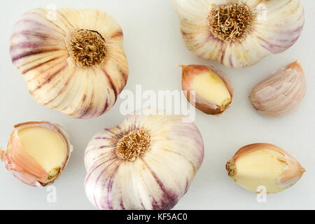 Primo piano di spicchi di aglio e lampadine su sfondo bianco Foto Stock