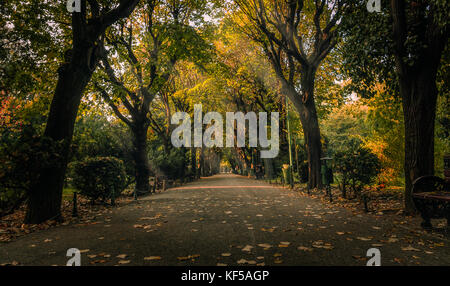 Una passeggiata nel parco Cismigiu (Parcul Cismigiu) Foto Stock