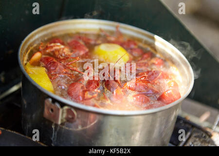 Preparazione del pesce di gamberi con limone in vaso Foto Stock