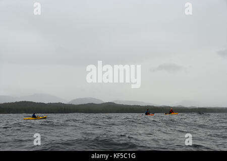 Gruppo di kayakers paddling in Nuvoloso Pioggia meteo misty attraverso foggy bay, ketchican, alaska in una vista in lontananza le loro barche Foto Stock