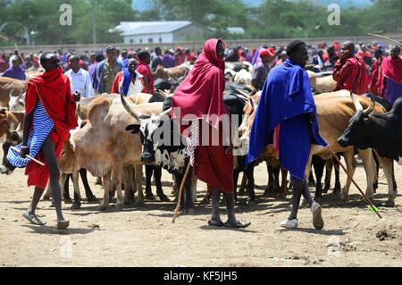 Maasai tribesmen in un colorato bovini e prodotti freschi di mercato nel nord della Tanzania. Foto Stock