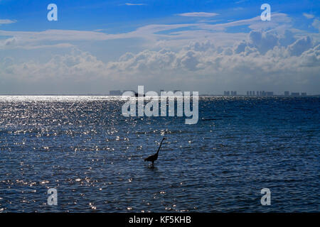 Cancun hotel zone da Isla Mujeres island sunset riviera Maya in Messico Foto Stock