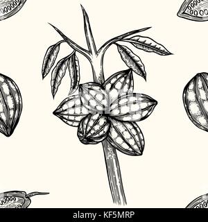 Incisi seamless disegno di foglie e frutti di fave di cacao. albero di cacao, cacao albero o Theobroma cacao, foglie, frutti e ramo incisione vintage. Illustrazione Vettoriale