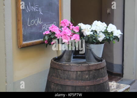 Due pentole di fiori rosa e bianchi su un vecchio barile di legno di fronte ad un ristorante italiano locale Foto Stock