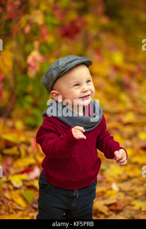 Ritratto di piccolo bambino sorridente ragazzo indossa hat, sciarpa e un maglione in piedi nel parco su sfondo di colori d'autunno caduta foglie. Foto Stock