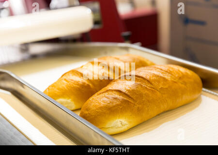 Professional attrezzature pasticceria, pane convogliatore Foto Stock