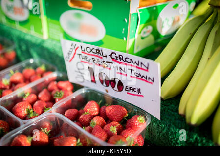 In prossimità di un lato segno scritta su un mercato inglese dichiarando di stallo coltivati localmente, è il migliore in città, solo £1,00 per le fragole Foto Stock