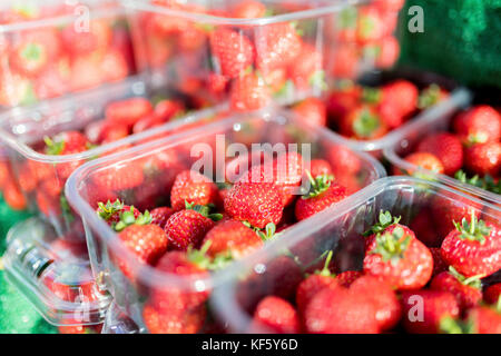 Close up fresche e mature inglese estate le fragole in punnets su un mercato in stallo il Yorksire NEL REGNO UNITO Foto Stock