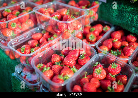 Close up fresche e mature inglese estate le fragole in punnets su un mercato in stallo il Yorksire NEL REGNO UNITO Foto Stock