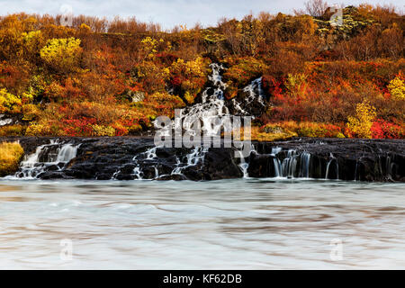 Hraunfossar (borgarfjörður, western Islanda) è una serie di cascate formate da ruscelletti streaming su una distanza di circa 900 metri fuori l'HAL Foto Stock