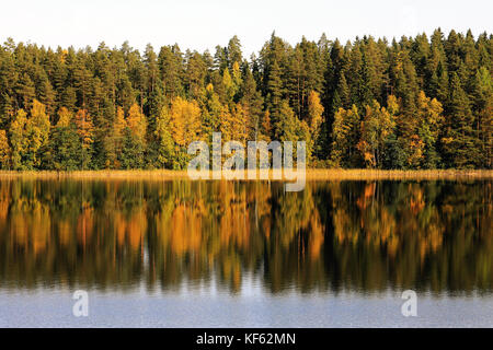 Paesaggio di un lago con colorati caduta delle foglie che riflette su un tranquillo lago blu in autunno. Foto Stock