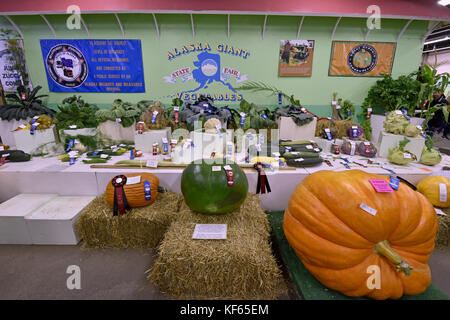 Alaska state Fair, cibo, Prodotti, verdure, Palmer, Alaska, Stati Uniti, agricoltura, verdura gigante, verdura enorme, verdura grande, cavolo, zucca Foto Stock