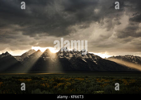 Wy02493-00...wyoming - un incredibile tramonto con il sole in presenza di striature attraverso le nuvole sul balsamroot fioriti nei vasti prati lungo le antilopi f Foto Stock