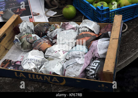 Apple raccolto mele cottura avvolti in un giornale in cassa Surrey in Inghilterra Foto Stock