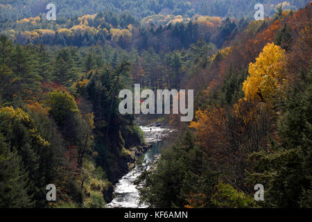 Caduta di fogliame di autunno, Quechee Gorge, Vermont Foto Stock