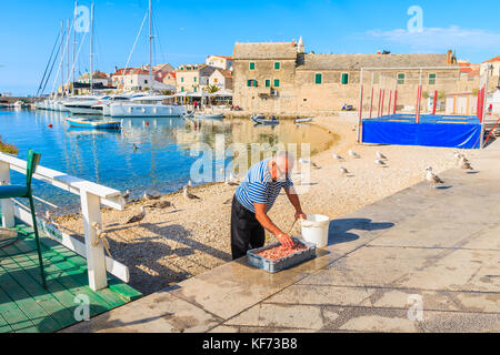 Porta di Primosten, Croazia - 5 Sep, 2017: pescatore preparazione di cassa di pesce di gamberetti in vendita sulla spiaggia nella città di Primosten, Dalmazia, Croazia. Foto Stock