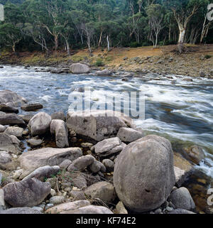 Snowy River, vicino a Island Bend, Kosciuszko National Park, New South Wales, Australia Foto Stock