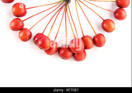 Piccolo sour wild granchio rosso di mele (caglio) isolati su sfondo bianco. vista dall'alto. Foto Stock