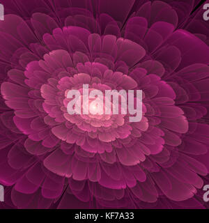 Bella astratto fiore frattale, rosa e colore magenta Foto Stock