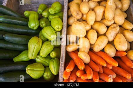 Il mercato messicano Ortaggi Patate Carote Cetrioli e chayote squash Foto Stock