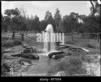 No. 1 foro, Cooncoola (9014740266) Foto Stock